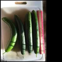 Cucumbers_and_ruler