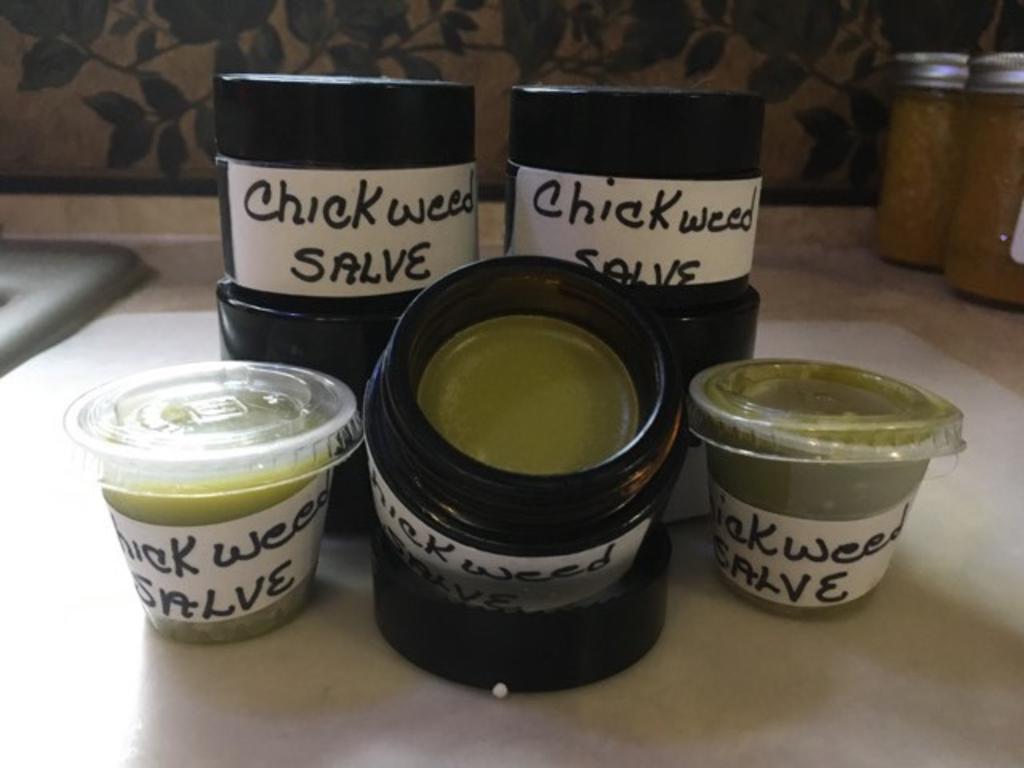 Chickweed_salve_x3_sizes