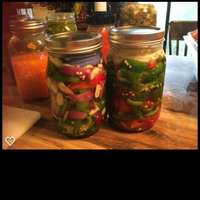 Fermented_peppers_and_tomatoes