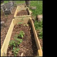New_raised_beds_in_the_works